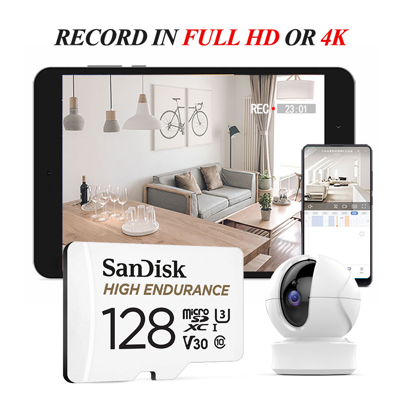 SanDisk High Endurance microSD - огляд і ціна Dash Cam Sd Card 256Gb High Endurance